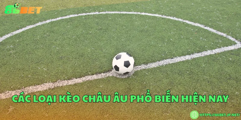 Kèo châu Âu là gì? Cách đọc, luật chơi và mẹo đặt cược Các loại kèo châu Âu phổ biến hiện nay