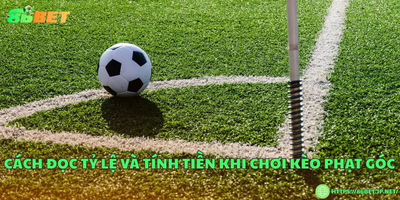 Chơi kèo phạt góc – Chiến thuật cá cược bóng đá thông minh Cách đọc tỷ lệ và tính tiền khi chơi kèo phạt góc