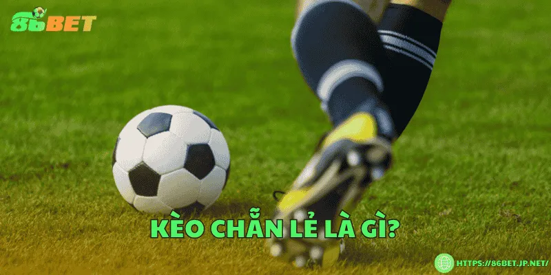 Kèo chẵn lẻ là gì? Các loại kèo chẵn lẻ phổ biến Kèo chẵn lẻ là gì?